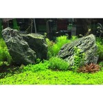 Seachem Flourish Potassium Supplement, 4 Litre